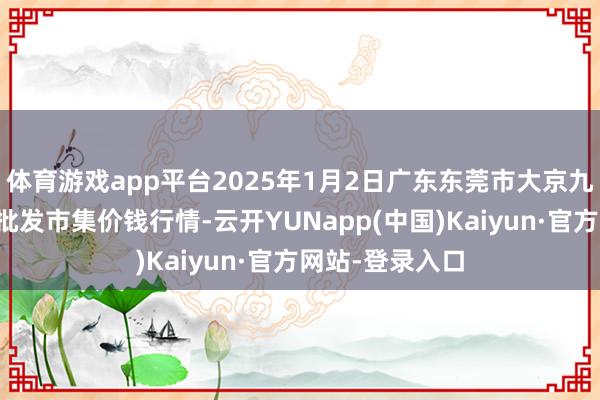 体育游戏app平台2025年1月2日广东东莞市大京九农副居品中心批发市集价钱行情-云开YUNapp(中国)Kaiyun·官方网站-登录入口