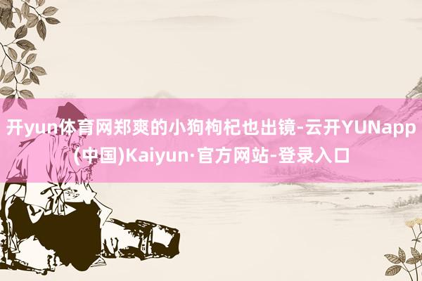 开yun体育网郑爽的小狗枸杞也出镜-云开YUNapp(中国)Kaiyun·官方网站-登录入口