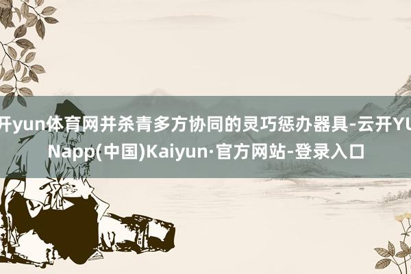 开yun体育网并杀青多方协同的灵巧惩办器具-云开YUNapp(中国)Kaiyun·官方网站-登录入口